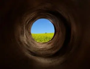 Shutterstock Image