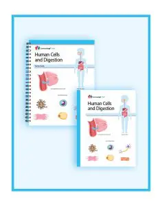 Human Cells and Digestion: CKSci Classroom Set