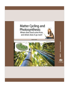 Matter Cycling and Photosynthesis: CKSci Teacher Guide