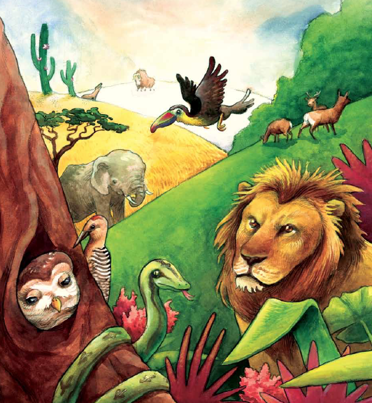 CKLA Grade 1 Domain 8—Animals and Habitats (9 Lessons)