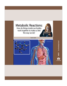 Metabolic Reactions: CKSci Teacher Guide