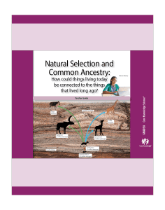 Natural Selection and Common Ancestry: CKSci Teacher Guide