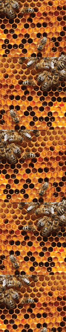 CKMath Grade 5 – Connecting Math to Our World: The Power of Math – Core ...